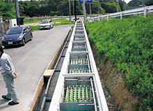 池・河川浄化